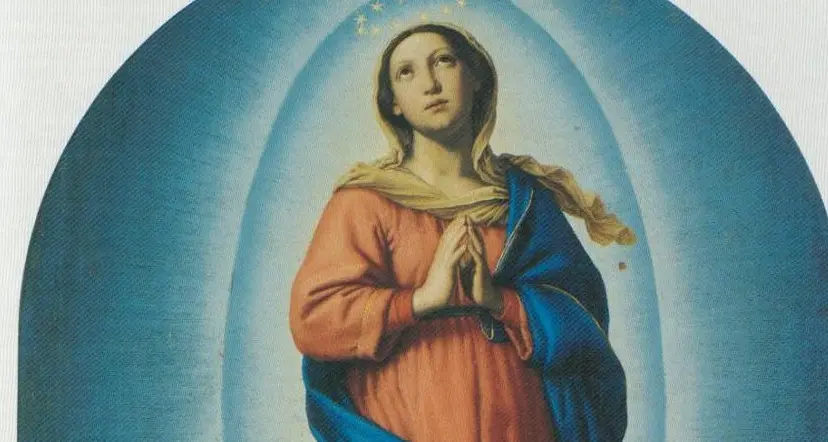 Immacolata Concezione e Verginità di Maria, due concetti ben distinti