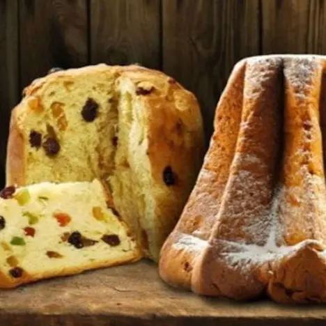 Panettone e Pandoro: storia e tradizione dei dolci natalizi italiani