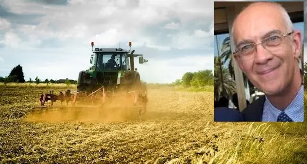 Maxisanatoria per immigrati in agricoltura, De Martini: “E’ un insulto”