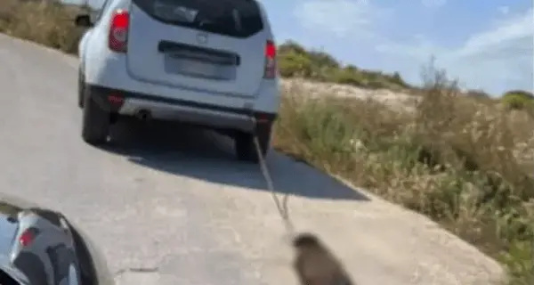 Lega un cane per le zampe e lo trascina con l’auto: l’animale è morto e l’anziano è stato denunciato