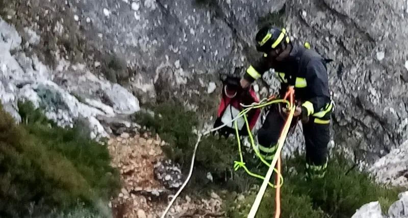 Pecore bloccate in un dirupo a Oliena, salvate dal 115