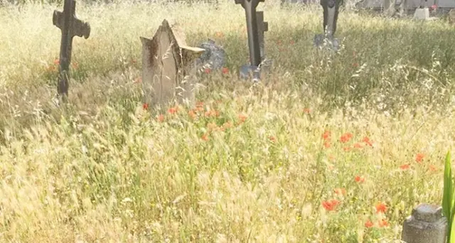 Cimitero di Bonaria, scenario indecoroso per chi va a trovare i cari defunti: guardate le foto