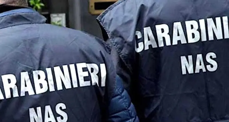 Carenze igieniche e parassiti: maxi sequestro di dolci natalizi