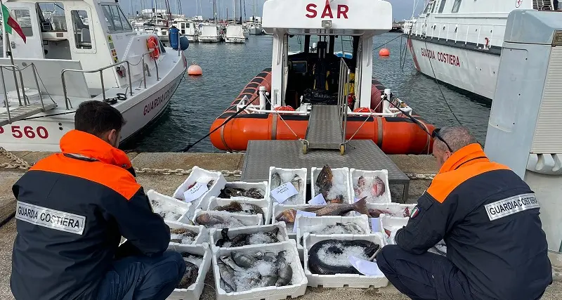 Operazione Spinnaker: 218 tonnellate di pesce sequestrato