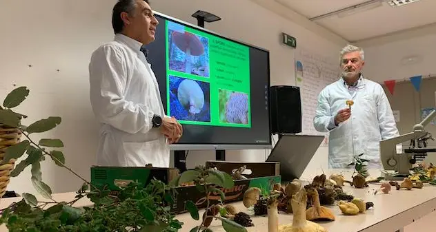 Sorso. I micologi dell'Asl di Sassari entrano a scuola