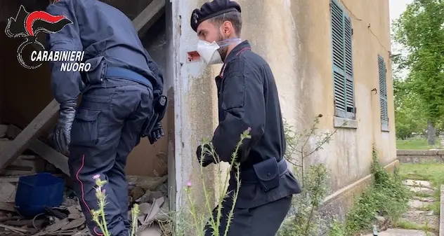 Rapine ai portavalori: blitz dei carabinieri tra le province di Nuoro e Sassari: sono scattate diverse denunce