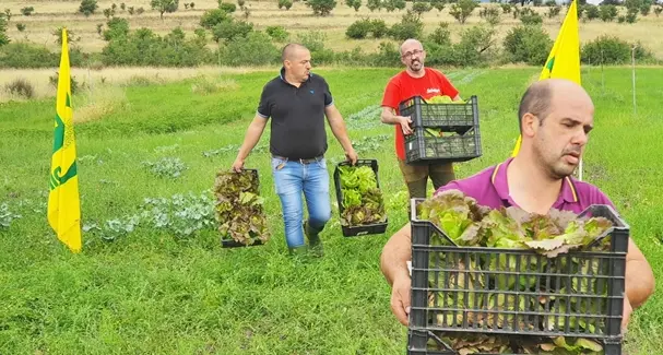Devastazione cavallette, Giovanni, Paolo e Bachisio regalano ai poveri della Caritas quello che rimane dei loro raccolti