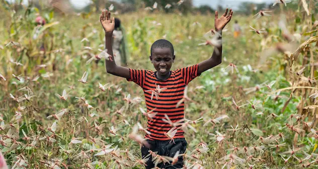 Le tre piaghe che stanno mettendo a dura prova l’Africa: Coronavirus, locuste e inondazioni