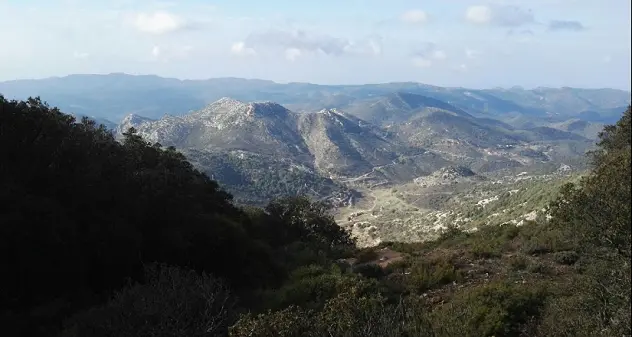 Si erano perse nella foresta di Marganai: ritrovate nella notte