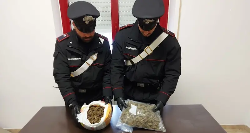 Galtellì. Nasconde in un canile oltre 1 chilo di marijuana
