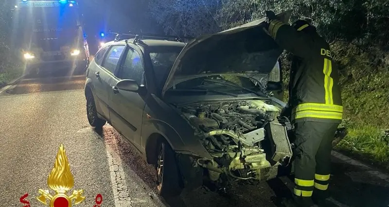 Olbia. Perde il controllo dell’auto e sbatte contro un albero, un ferito