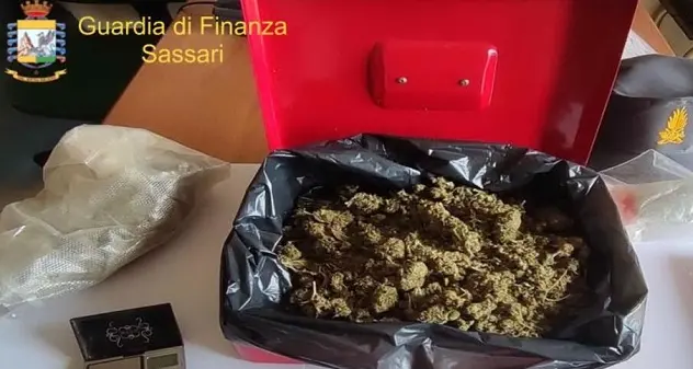 Market della droga scovato dalla Guardia di Finanza a Fertilia