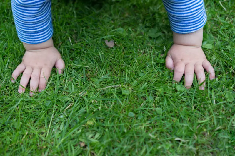 Close up of baby  boy hands crawling in the grass