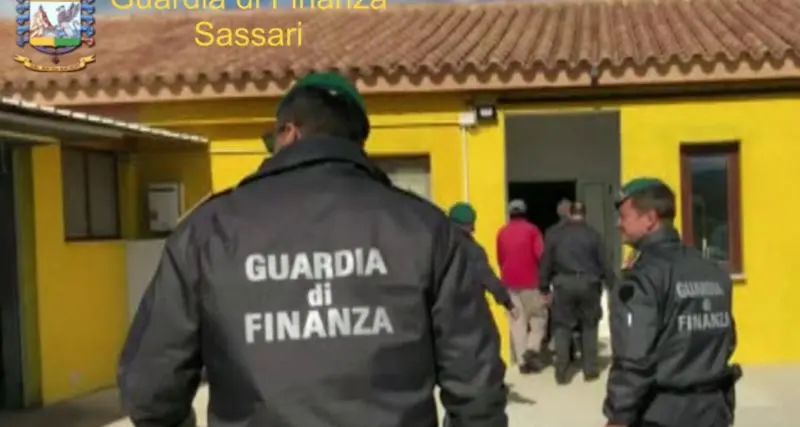 Canile lager scoperto a Olbia dalla Guardia di finanza