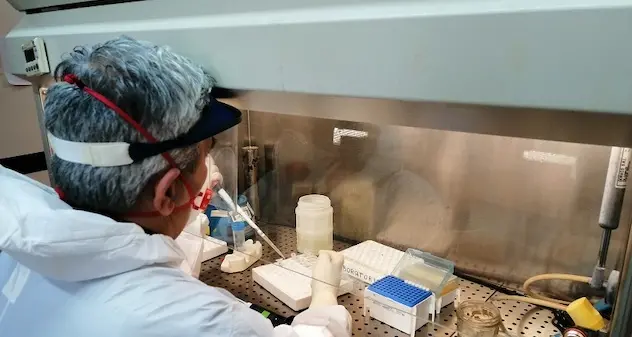 Coronavirus, aggiornamento dati: nuovo caso nella provincia di Sassari