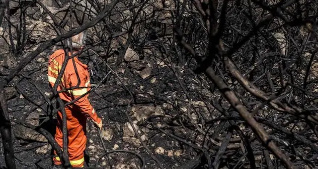 Anci Sardegna, “Campagna antincendi senza squadre di lotta e vedette garantite da Forestas?”