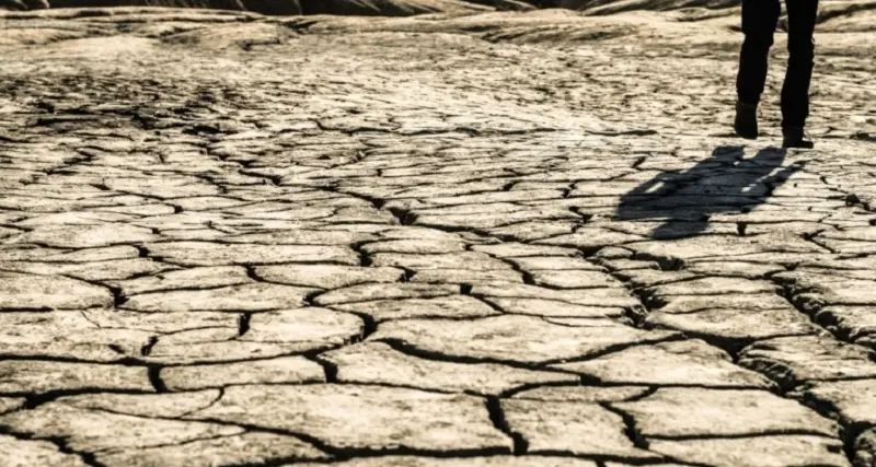 Arriva il maltempo, Coldiretti: \"Pioggia salva campagne dalla siccità\"