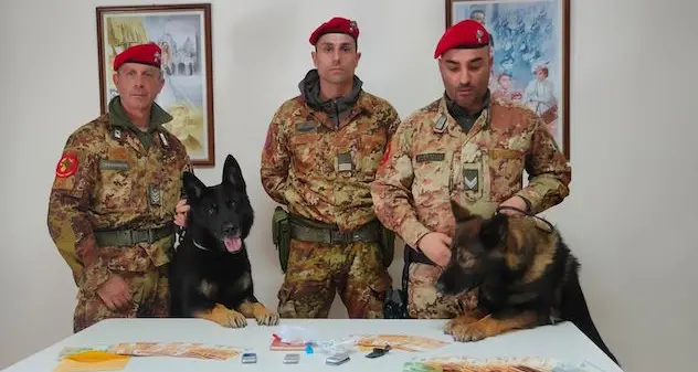 Orosei. Cocaina e contanti, 65enne arrestato grazie al fiuto di due cani