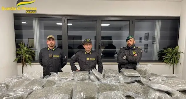Marijuana in partenza da Olbia: camionista arrestato con 70 chili di droga