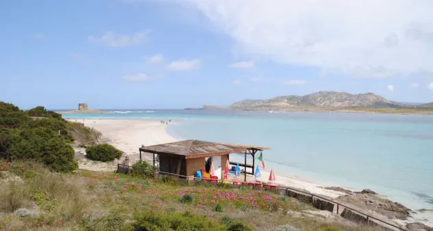 Stintino. Attivo il servizio navetta per le spiagge