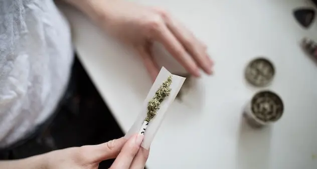 Cannabis. Cento parlamentari scrivono a Conte: \"Legalizzarla\"