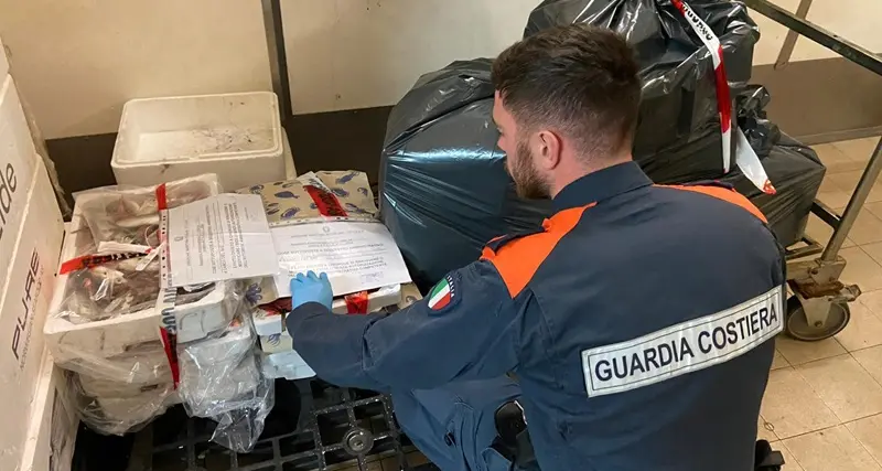 Pesca. Operazione della Guardia Costiera: multe per 40mila euro