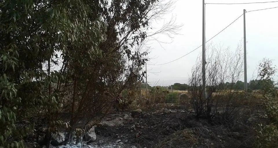 Incendi in Sardegna. I carabinieri arrestano imprenditore di 31 anni di Zerfaliu, avrebbe innescato diversi incendi alle porte del paese