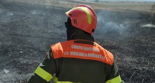 Incendio nelle campagne Serramana: sul posto tre elicotteri del Corpo forestale