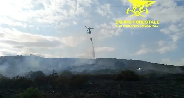 Incendi: 17 nella sola giornata di oggi
