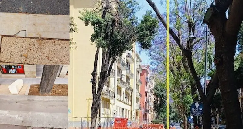 Cagliari, lo sfogo di cittadini e commercianti: “Il restyling via Dante è pericoloso”
