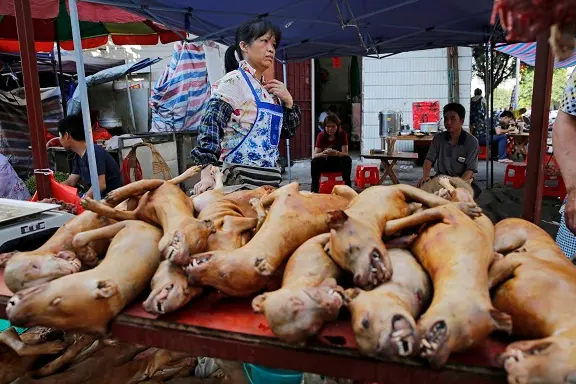 epa08338256 (FILE) - Dog meat for sale at a market during the Dog Meat Festival in Yulin city, Guangxi province, China, 21 June 2016 (reissued 02 April 2020). Authorities have banned the consumption of cat and dog meet in the southern Chinese city of Shenzen starting 01 May 2020.  EPA/WU HONG *** Local Caption *** 52841760