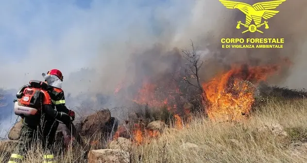 Sardegna, 21 incendi nella giornata di oggi