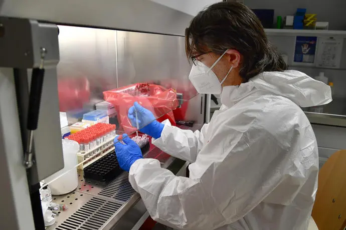 Un dottore processa i tamponi test Covid-19 effettuati sui pazienti, nel laboratorio del Policlinico S.Martino. Genova, 26 Maggio 2020 ANSA/LUCA ZENNARO\\r\\r