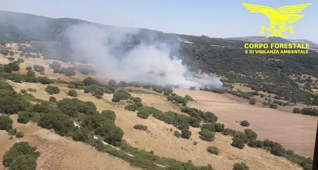 Fiamme a Cossoine, il Corpo forestale sta domando l'incendio