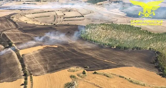 Incendi: sono 24 quelli registrati nella giornata di oggi in Sardegna