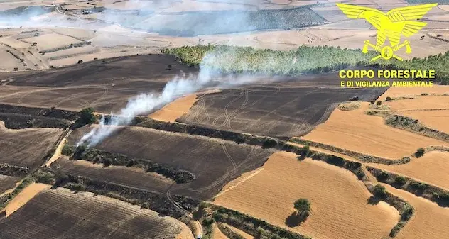 Incendi in Sardegna: 104 i roghi registrati in una settimana