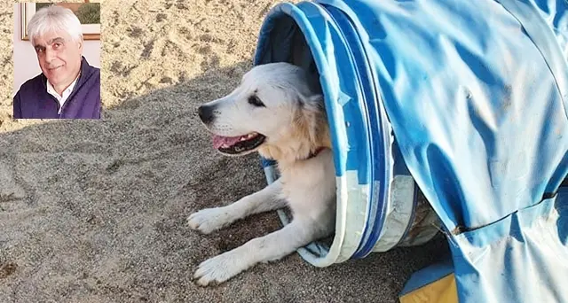 La spiaggia per gli amici a 4 zampe? Per loro è pronta l’area cani vicino a Su Loi