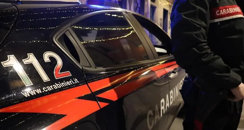 Orani. Dopo 4 mesi di indagini, arrestato il proprietario di 2500 piante di canapa