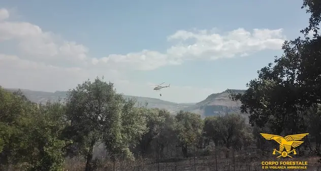 Incendio nelle campagne di Dolianova: in corso le operazioni di spegnimento