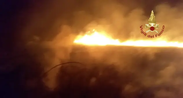 Incendio nella notte lungo la SS133 per Porto Pollo: in fumo un ettaro di macchia mediterranea