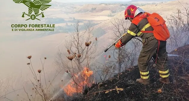 Incendi in Sardegna: 22 nella giornata di oggi