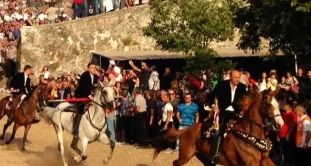 Sedilo. Ardia: le condizioni del cavaliere caduto questa mattina non sono gravi. Il cavallo è stato abbattuto