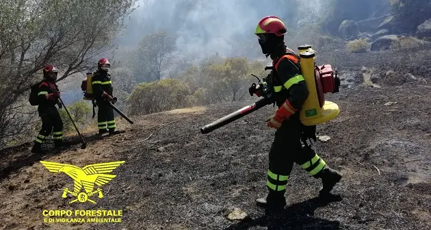 Incendio a Loiri: le fiamme domate prima che intervenisse il canadair