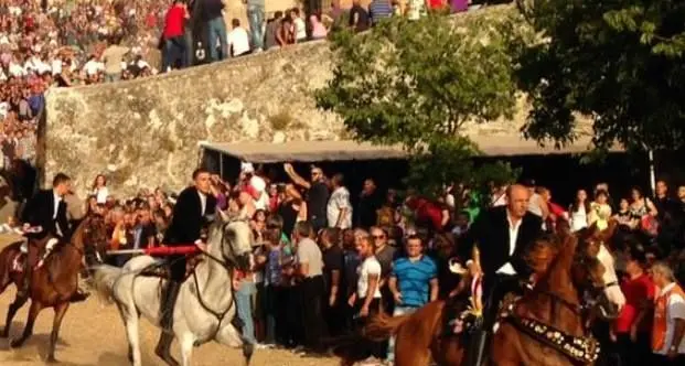 Ardia annullata, tensione a Sedilo: asinello legato davanti alla casa parrocchiale