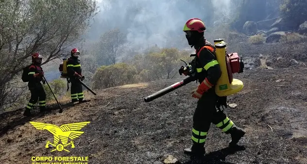 Ancora fiamme in Sardegna: gli elicotteri del Corpo forestale a Bottidda e Tuili