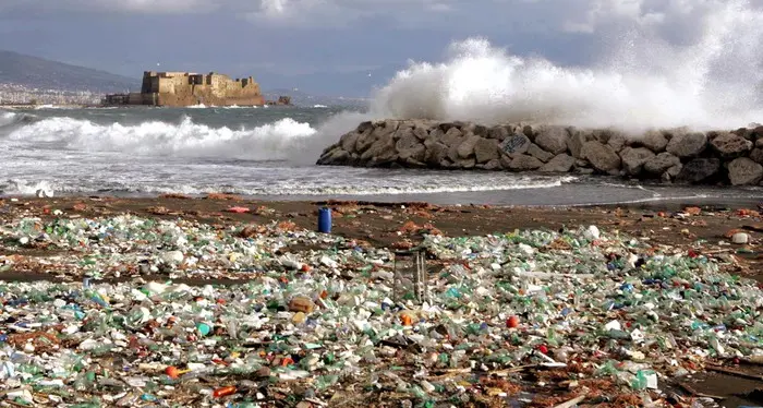 Gli scampi che troviamo in tavola \"divoratori\" di microplastiche