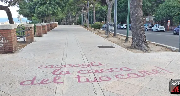 “Raccogli la cacca del tuo cane”, il messaggio-monito dei cittadini responsabili a Terrapieno