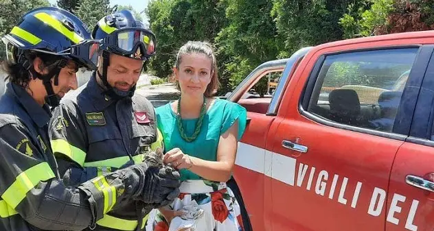 I Vigili del fuoco salvano un gattino precipitato in un canale