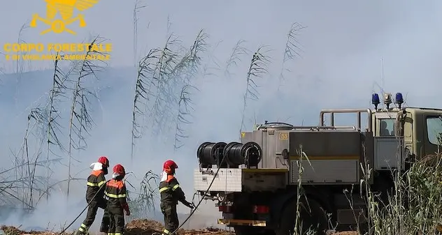 Incendi: sono otto quelli registrati nella giornata di oggi
