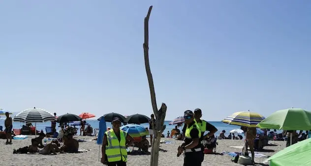 Cagliari. Nella sabbia un tronco secco di circa 5 metri: interviene la Polizia Municipale